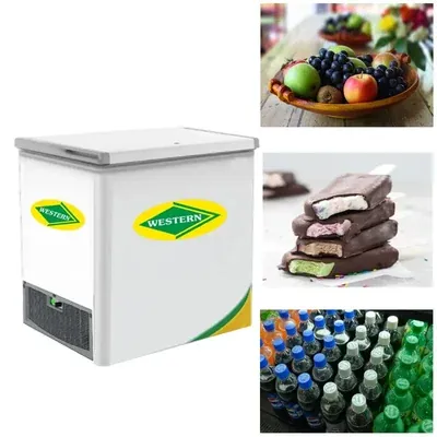 WESTERN 190 Litre Single Door Hard Top Chest/Deep Freezer, D225H122 for Supermarkets