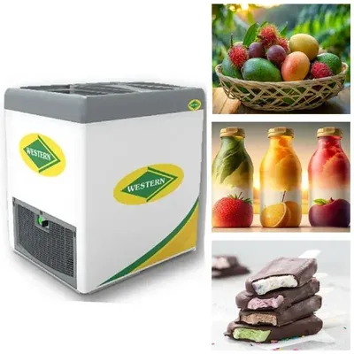 WESTERN 192 Litre Glass Top Deep Freezer Slid Door Non-Convertible, F250GL25 for Ice Cream Parlour and Supermarkets