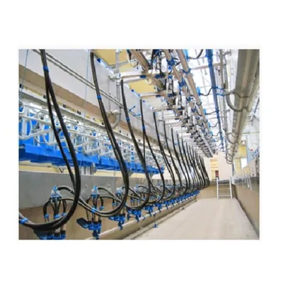Commercial Herringbone / Swingover Milking Parlor