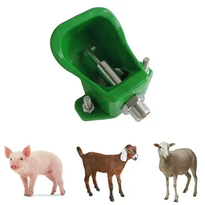Water Drinking Bowl for Pig (Pack of 2)