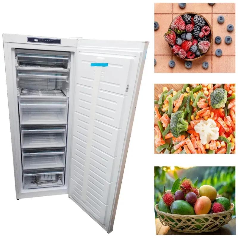 Elanpro 26 L EFS 245 Single Door Stading Model Freezer for Medicine, Drinks, Snacks Storing and Good Fit for Retail Store