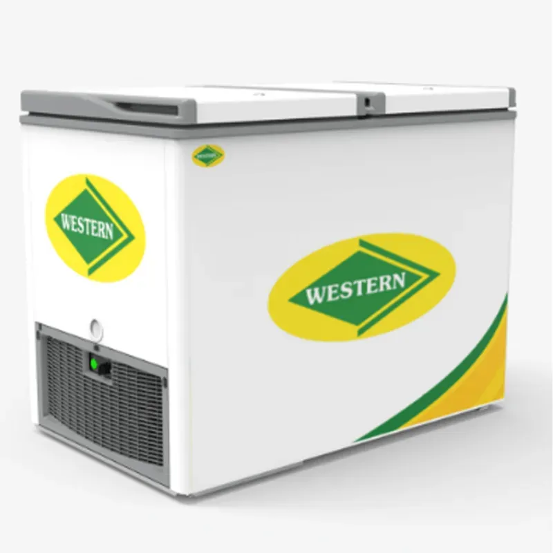 WESTERN 253 Litre Hard Top Hatched Double Door Eutectic Freezer, E325H220 for Supermarkets