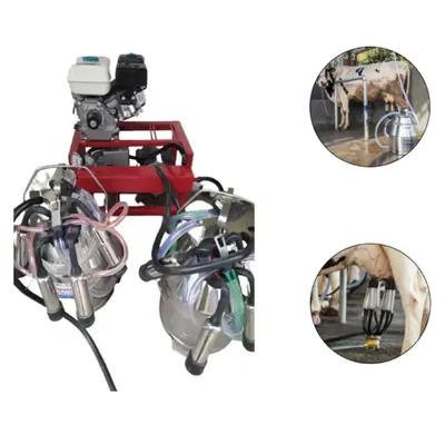 Double Bucket Milking Machine with 5.5 HP Engine and 1.5 HP Motor