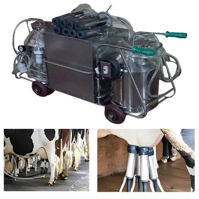 MILK MASTER Commercial Double Cluster & Bucket (2 x 20 Litre) Milking Machine With 0.25 HP Motor & Full SS Body
