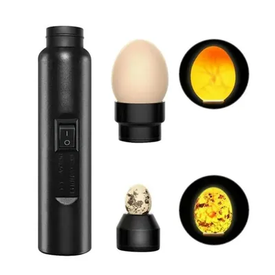 GKI POULTRY Egg Candler Tester For Chicken, Ducks, Quail & Pigeon Eggs, 18 x 13 x 7 cm, Plastic