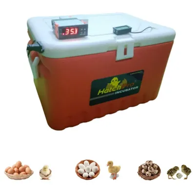 Hatchpro 36 Eggs Fully Automatic Incubator With Egg Turning Tray for Chicken, Duck, Quail