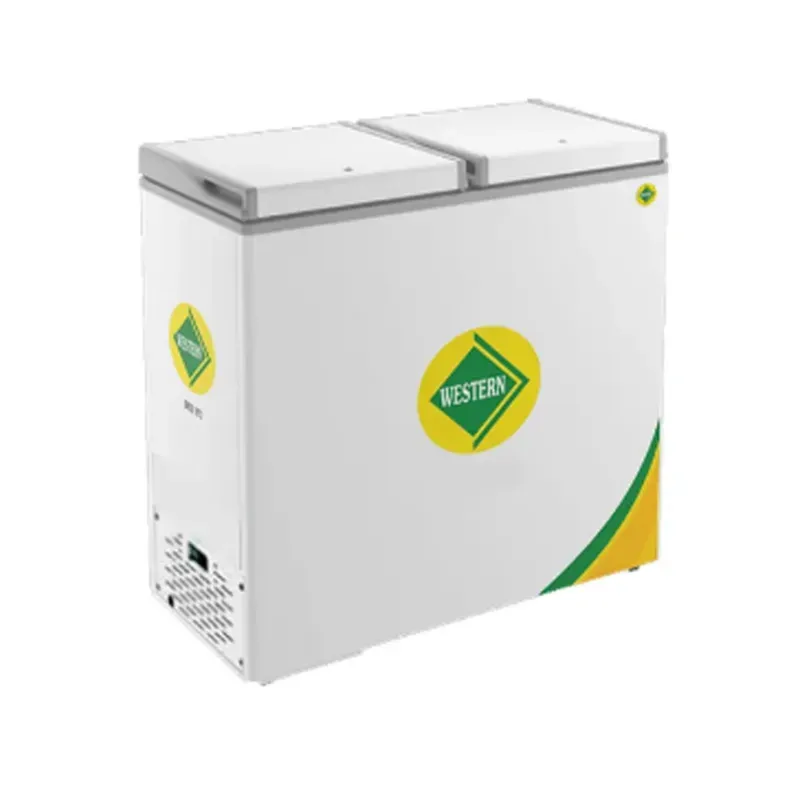 WESTERN 224 Litre Double Hard Top Door Convertible Freezer, D300H224 for Ice Cream Parlour and Supermarkets