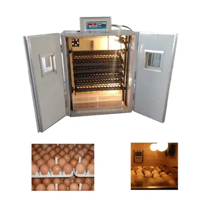 Ndeal 700 W Automatic 600 Eggs Hatching Incubator Power