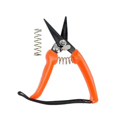 Hoof Cutter For Goat and Sheep, 19.5 x 5 cm, Steel