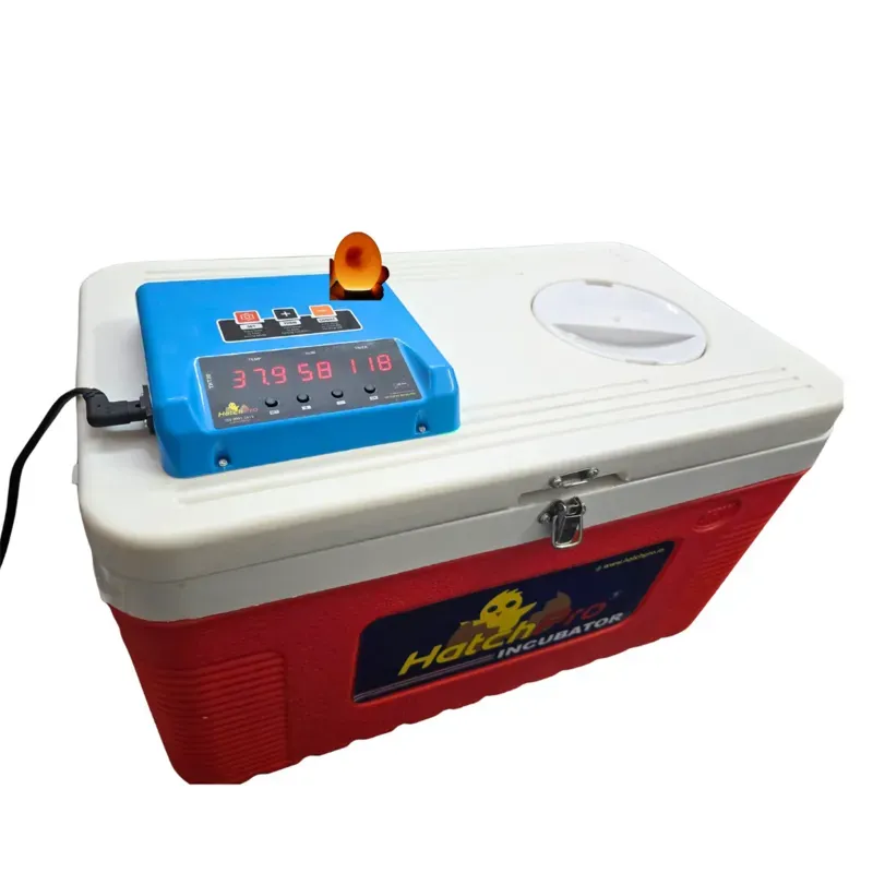 Hatchpro 50 Eggs Incubator With Single Automatic Turning Tray with Temperature and Humidity Controller with Egg Candler