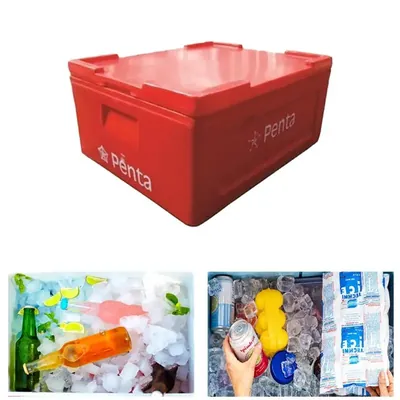 Penta 22 Litre Ice Box, 40 to 48 hrs Insulation Support for Picnic & Outdoor Usage