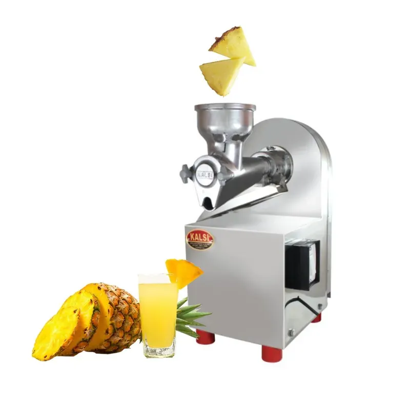 Kalsi Stainless Steel Semi-Automatic No. 9 Pulpy Fruit Juicer (Orange, Mango, Grapes, Pineapple) Machine with 0.25 HP Motor