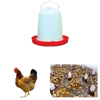 12 L Jumbo Drinker, Plastic Body (Pack-10 pcs)