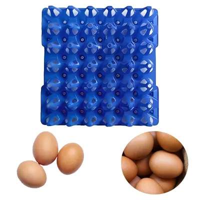 Plastic 11 x 11 Inch Egg Tray for 30 Eggs, (Pack of 10)