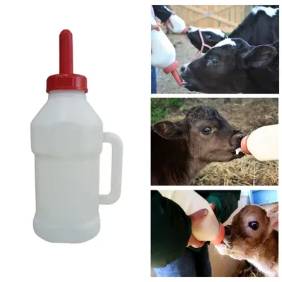 Cowtools Milk Feeding Bottle for Calf, 2.5 Litre Capacity (Pack of 2)