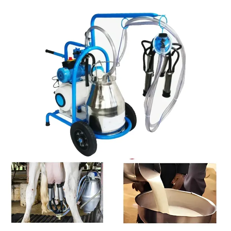 Commercial Single Cluster Milking Machine, Capacity 18 Litre with Free Accessories