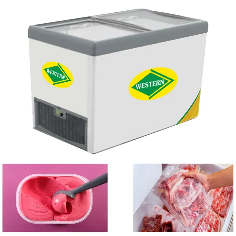 WESTERN 311 Litre Glass Top Deep Freezer Slid Door Non-Convertible, F350GL25 for Supermarkets