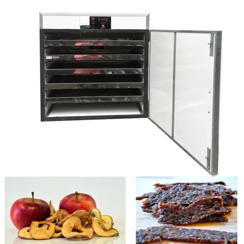 5 MS Tray Food Dryer, 750 W