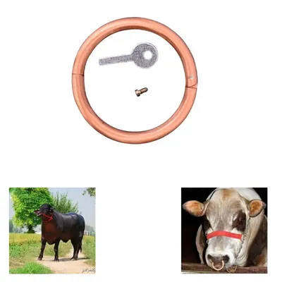 Veterinary Nose Ring With Screw Key For Cattle, Bull & Cow With Copper Body