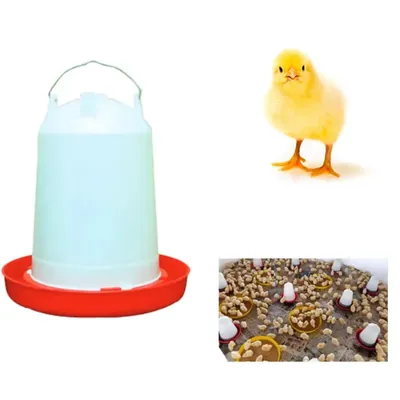 12 L Poultry Water Drinker (Pack-2 pcs)