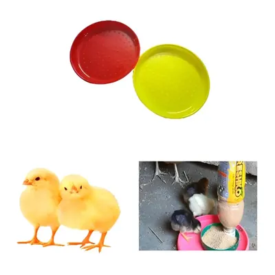 Ndeal 38.10 cm Chick feeding Tray (Pack of 5)