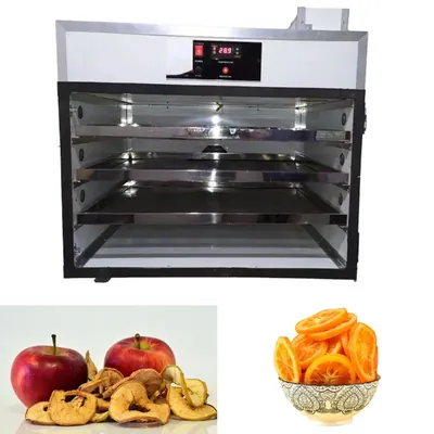 3 MS Tray Food Dryer, 500 W