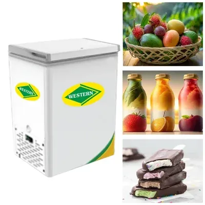 WESTERN 106 Litre Single Door Convertible Deep Freezer, D150H164 for Commercial Outlets