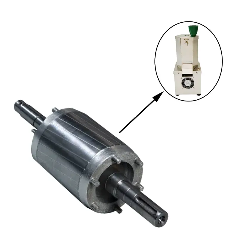 Rotor for Automatic 5 kg/hr Dry Garlic Peeling Machine with 0.25 HP Motor