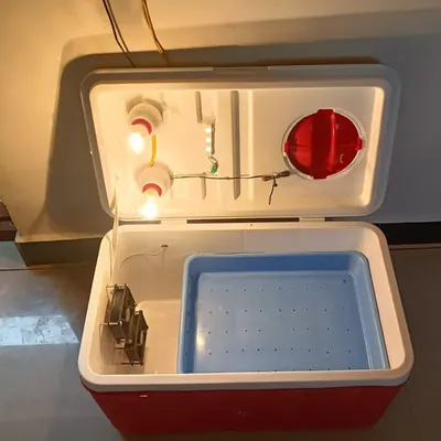 Semi Automatic Fiber Egg Incubator, 100 Capacity