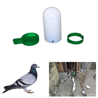 550 ml Pigeon Water Drinker (Pack-25 pcs)