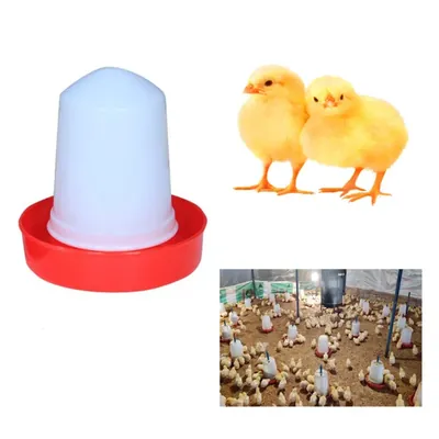 500 g Baby Feeder (Pack-25 pcs)