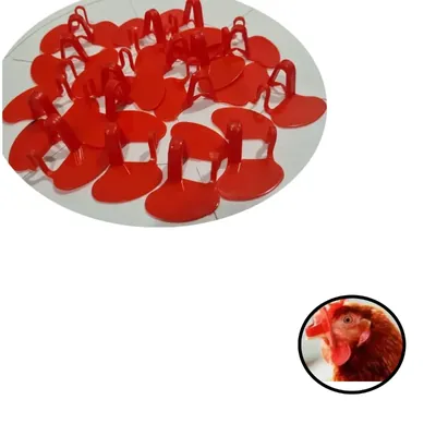 GKI POULTRY Big Nose Clips For Hens To Prevent Chicken From Pecking (Pack of 25)