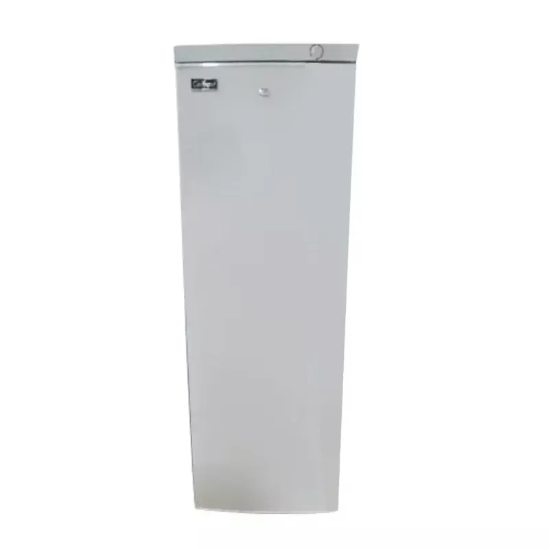 Celfrost 250 L Capacity BFS 250 Single Door Standing Freezer for ice-Cream, Cold Drinks, Snacks Storing