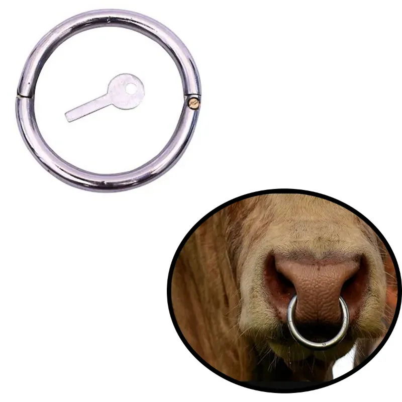 Bull Nose Ring With Screw Key for Cattle Cow SS Veterinary Instruments (1 Pc)