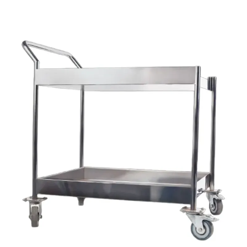 Double Layer (2 Shelves) Trolley for Catering Service (18 x 24 x 34) inch with Castor Wheels, Stainless Steel Body