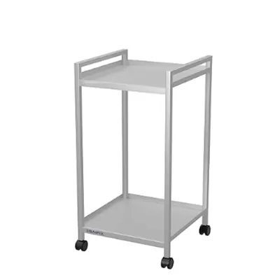 SS 40 x 40 x 76 cm Dual Shelf Kitchen Trolley With Utility Cart and Wheels Used in Kitchens for Storage, Serving, Transport