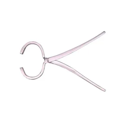 SS Hoof Tester for Cow, Horse, Sheep, Goat, Donkey for Animal Hoof Cutting, 30 cm, Stainless Steel