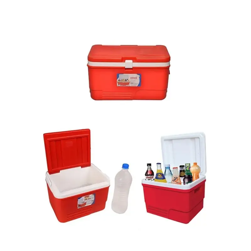 Aristo 60 Litre Insulated Ice Box, 8 to 10 hrs Cooling Support for Picnic, Outing and Medical Purposes