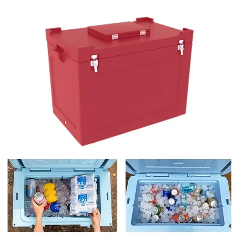 Allwin 50 Litre Ice Box, 40 hrs Insulation Support with Roto-Moulded Technology for Picnic & Outdoor (Weight 8 kg)