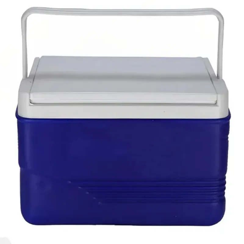 6 Litre Plastic Ice Box for Ice Storage