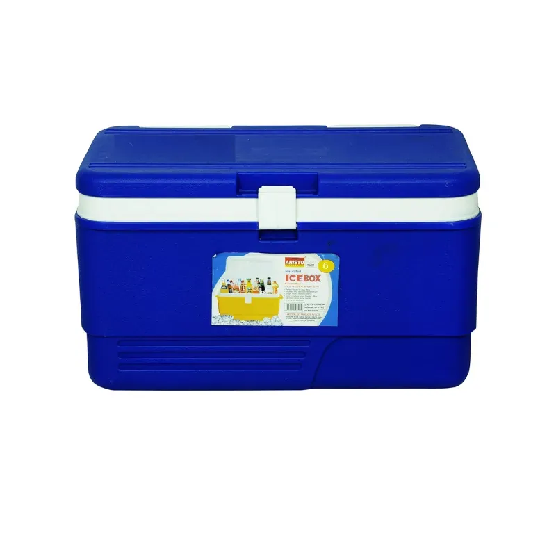 Aristo 6 Litre Insulated Ice Box, 3 to 4 hrs Cooling Support for Picnic, Outing and Medical Purposes