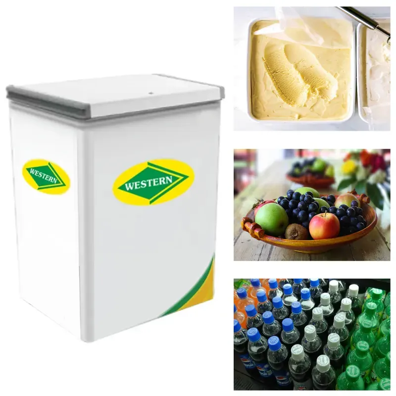 WESTERN 72 Litre Single Door Convertible Deep Freezer/Cooler, D070H161 for Commercial Outlets