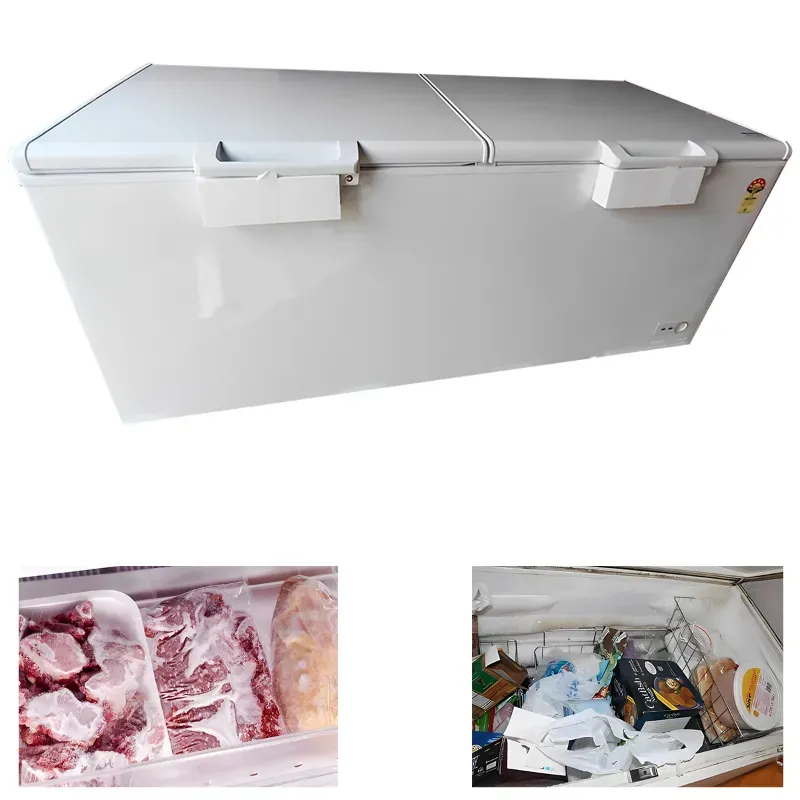 Heavy Duty 734 Litre Double Door Convertible Deep Freezer