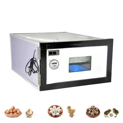 75 Eggs Automatic Incubator For Hatching Eggs, 220 V/100 W