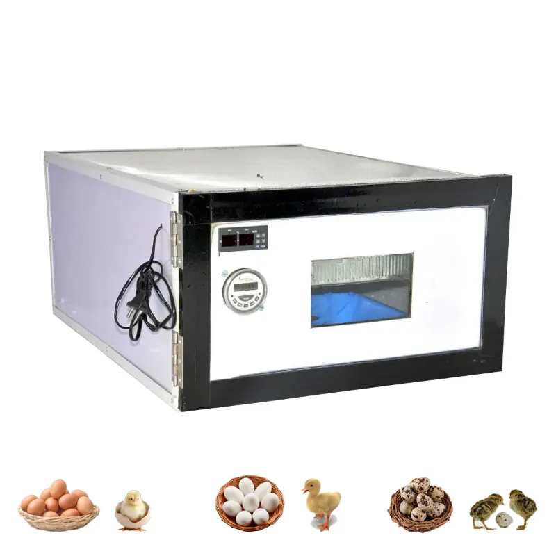 75 Eggs Automatic Incubator For Hatching Eggs, 220 V/100 W