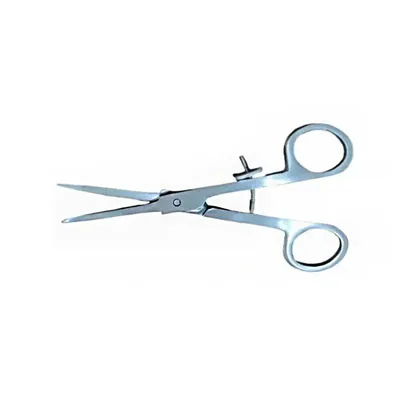 Stainless Steel Teat Scissors Rust Free Pointed Surgical Instrument for Cattle Use