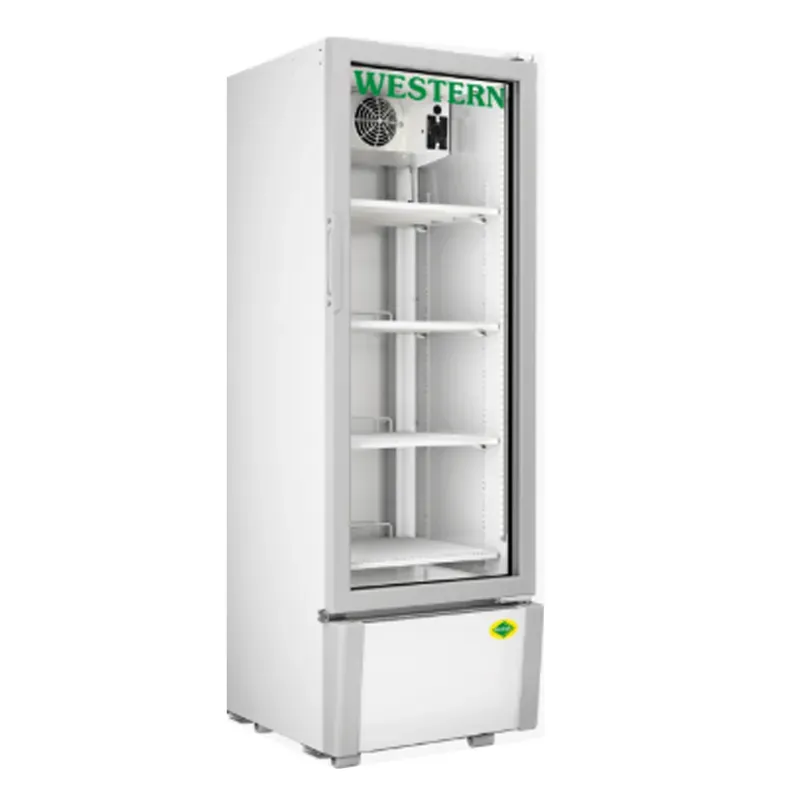 WESTERN 216 Litre Single Glass Door Visi Cooler, SRC280HC-GL for Supermarkets