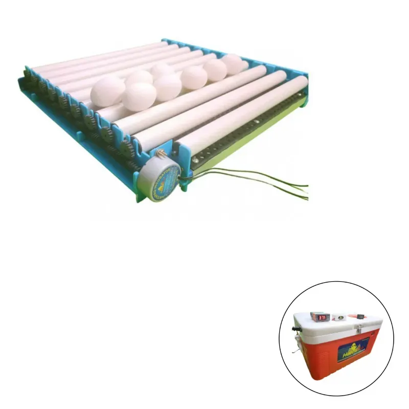 80 Eggs Automatic Egg Turning Tray With Motor For Egg Incubators