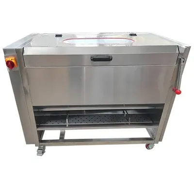 2 in 1 Vegetable Washer Cum Peeler Machine with 2 HP Motor, 250 kg/hr Capacity