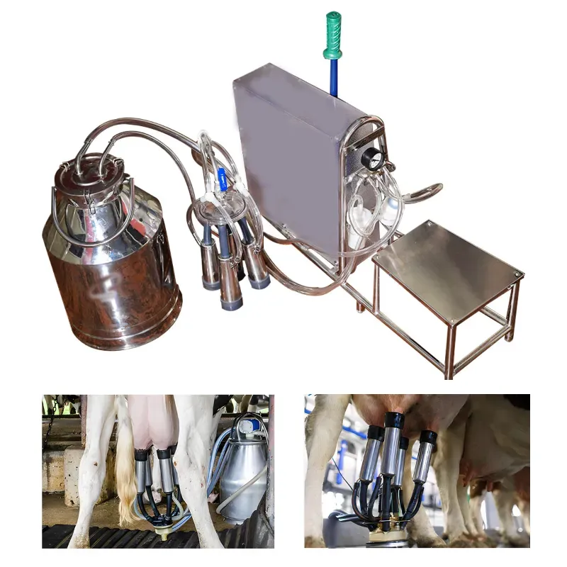 MILK MASTER Manual Operated Fully Stainless Steel Milking Machine With 15 Litre Bucket & Sitting Stool